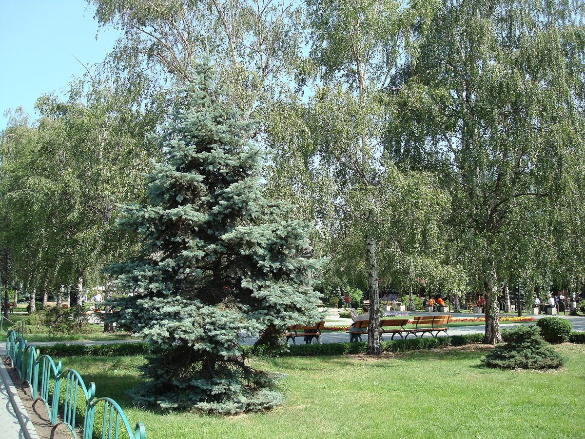 Concert în aer liber în Parcul Municipal Vest din Ploiești